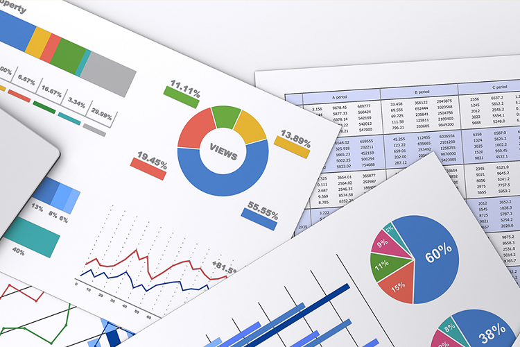 申請書・報告書等の作成代行